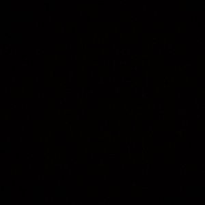 Meet your Posher, Summer